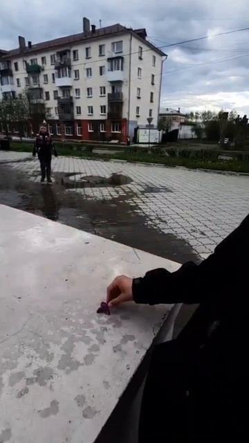 рыбки любят жить в воде