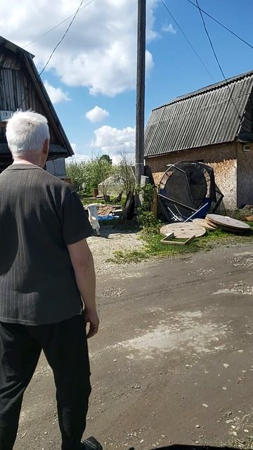 Проявление охранных качеств у Симбы