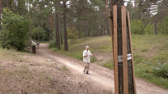 Таллинн остановил строительство тропы здоровья в лес?