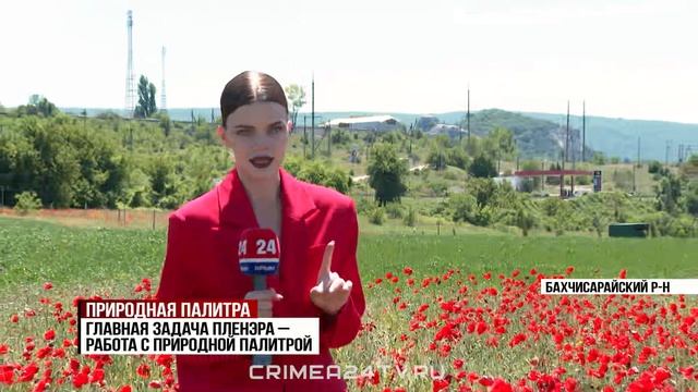 Студенты крымского художественного училища имени Самокиша провели пленэр в маковом поле