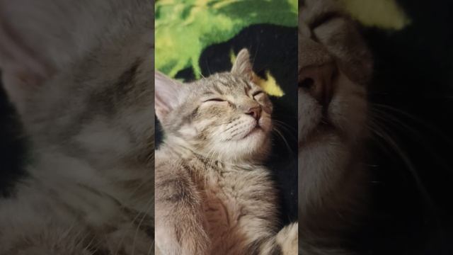 1000056532.mp4