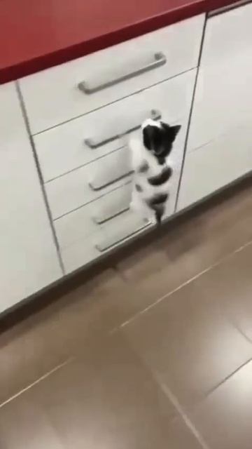 Скалолаз😍