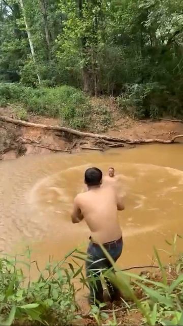 Прикольные видео