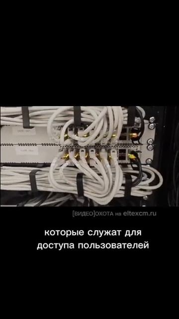 Коммутатор ЦОД MES5316A Eltex. Видео[Охота] на eltexcm.ru