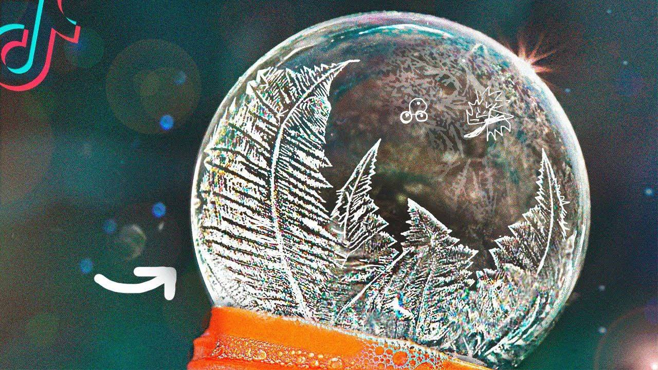 ПРОВЕРИЛИ 6 МИФОВ ИЗ ТИК ТОКА !)