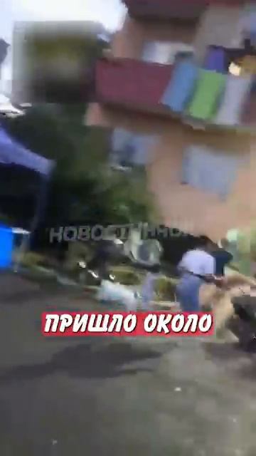 Новостничок (469)