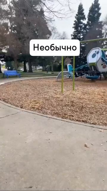 Ссылка на товар здесь: https://t.me/+DN-o8L9MWfs3MzEy