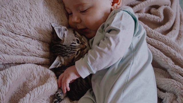 Милые дети и котята
