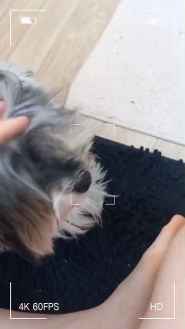без текста😱