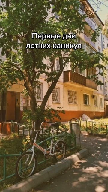 Без названия