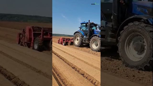 ДокаДжин. СТАРТОВАЛИ! Началась посадка на наших родных полях! Сеем морковь