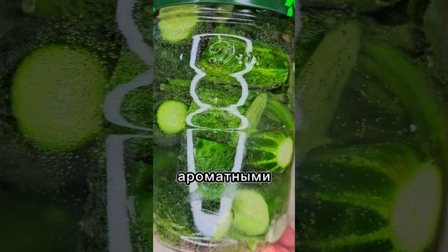 Малосольные огурцы на минеральной воде