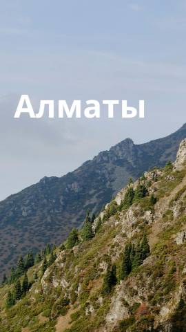 Алматы. Казахстан shorts