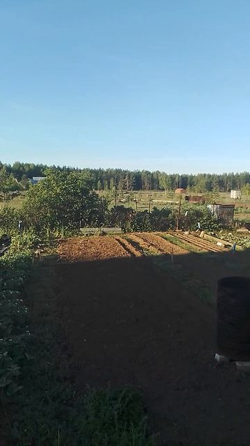 23 мая 2025 год.