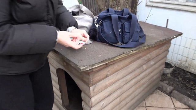 Не СУЙТЕ ПАЛЬЦЫ В РОТ ЩЕНКУ! Щенки немецкой овчарки ми?
