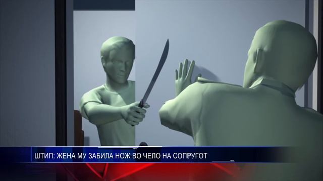 ШТИП ЖЕНА МУ ЗАБИЛА НОЖ ВО ЧЕЛО НА СОПРУГОТ 04 110 2016
