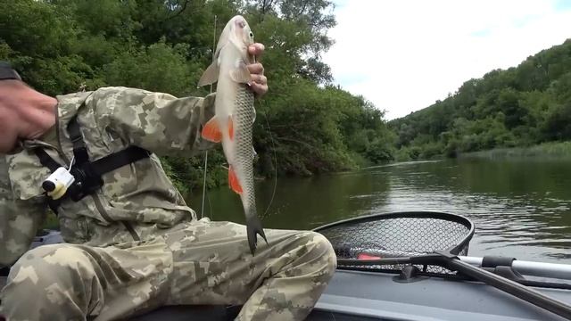 ПРОСТОЙ СПОСОБ НАЛОВИТЬ РАЗНОЙ РЫБЫ НА СПИННИНГ! Рыбалка 2024.