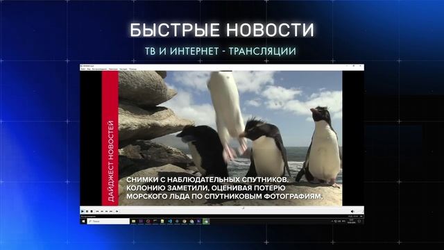 Создания дайджеста новостей на базе сервиса iactive.pro