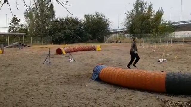 Аджилити Д0. Ростов на Дону
