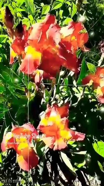 VID_20250523075947
