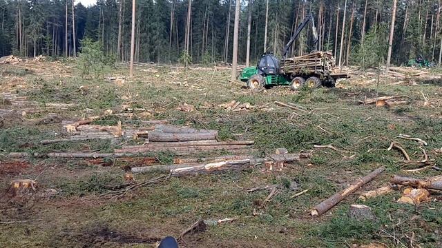 Форвардер Амкодор 2661-01 и Харвестер Амкодор 2551. Работа в делянке.
