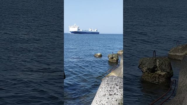 1000008175.mp4