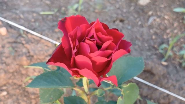 20240702_202408 (online-video-cutter.com)