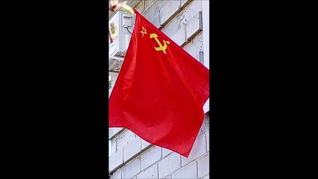 Собака. Том.