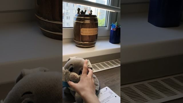 как Боря дурачится часть 2