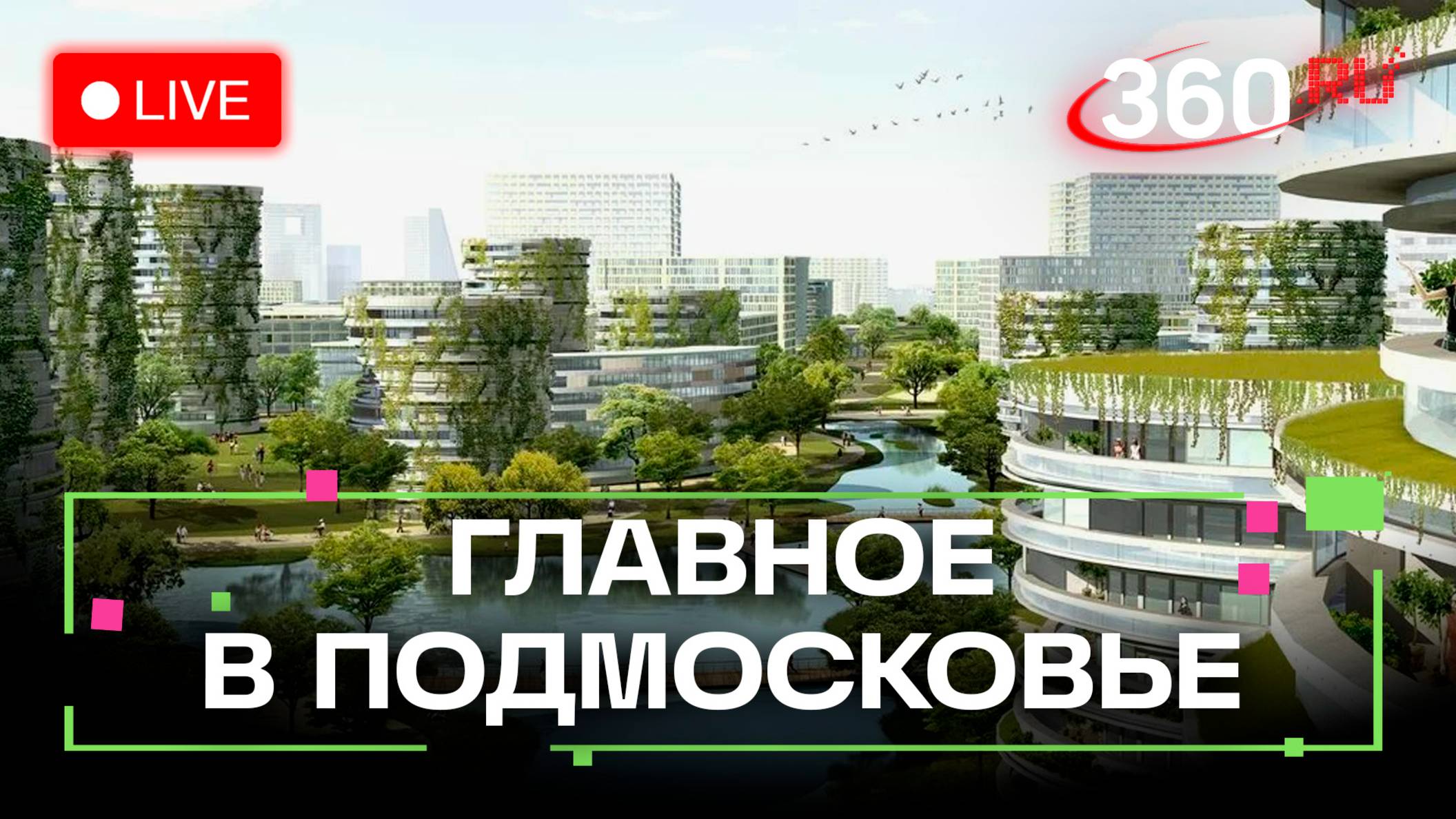 Лёгкие деньги для студентов и трудный путь в экологичное будущее: Главное в Подмосковье