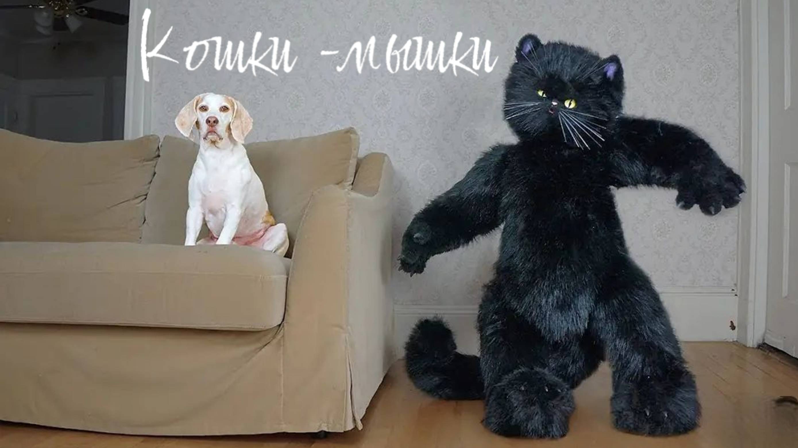 собачки играют в кошки -мышки