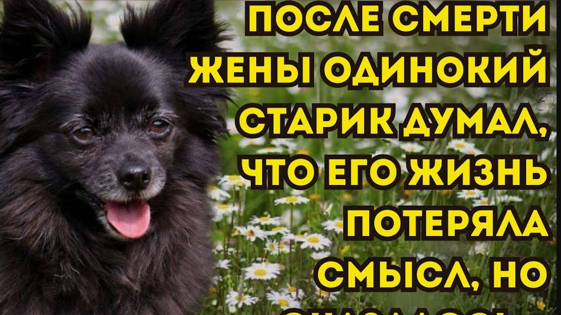 Истории из жизни. ПЕВУНЬЯ! Аудио рассказы
