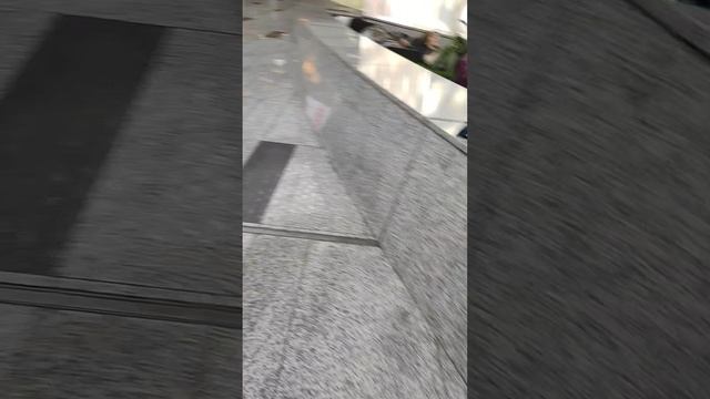 1000008576.mp4