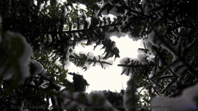 Музыка так подчёркивает виды, что дух захватывает - Rabat -- Phillip Gross -- Morocco