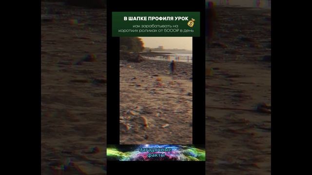 факт (12)