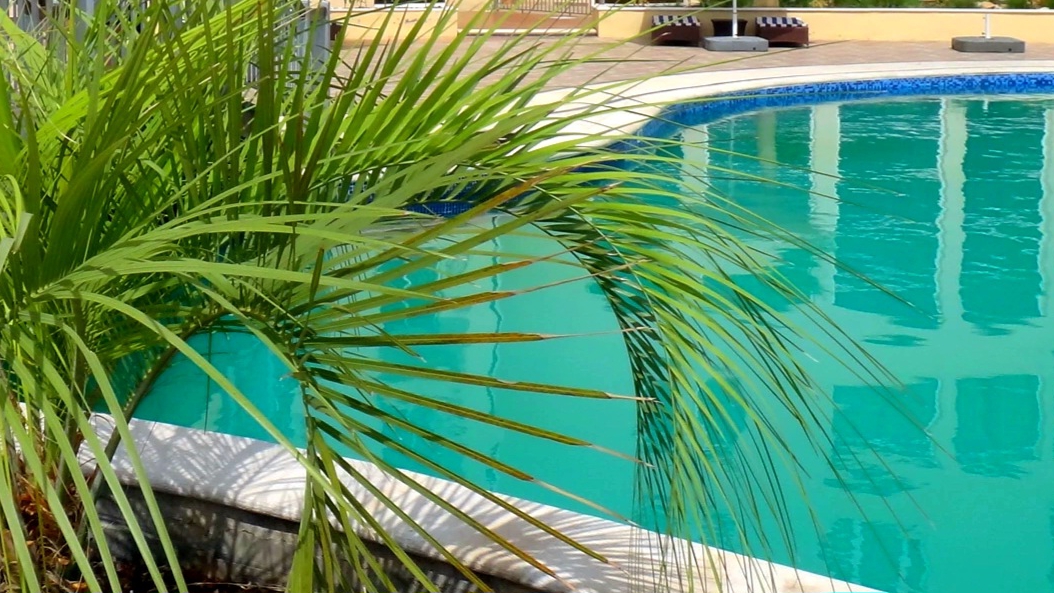 Путешествие в Иорданию. Dead Sea Spa Hotel  Мёртвое море. Река Иордан