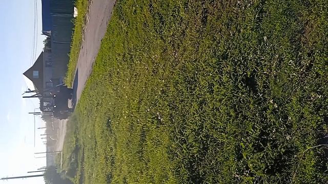 синий трактор представляет🚜🚜🚜🚜
