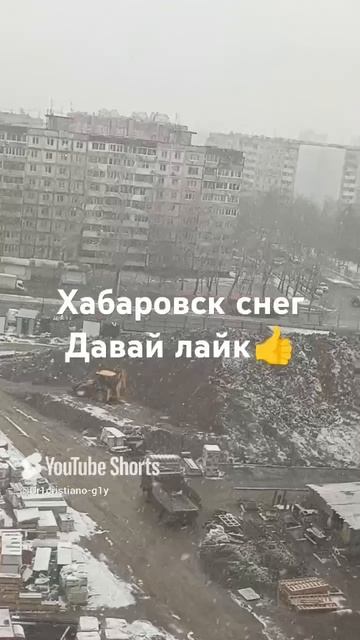 scene_output.mp4