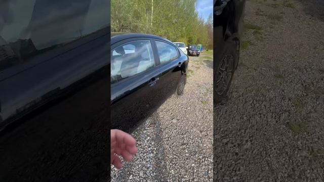 рио 2015 1 хоз зеленая автотека