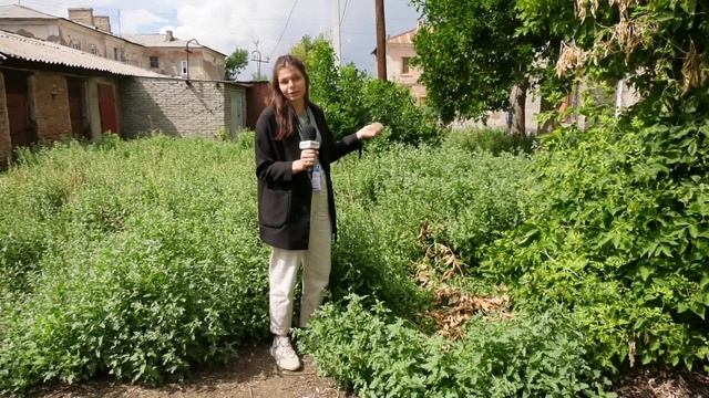На улице строителей в Орске второй год не выкашивают т