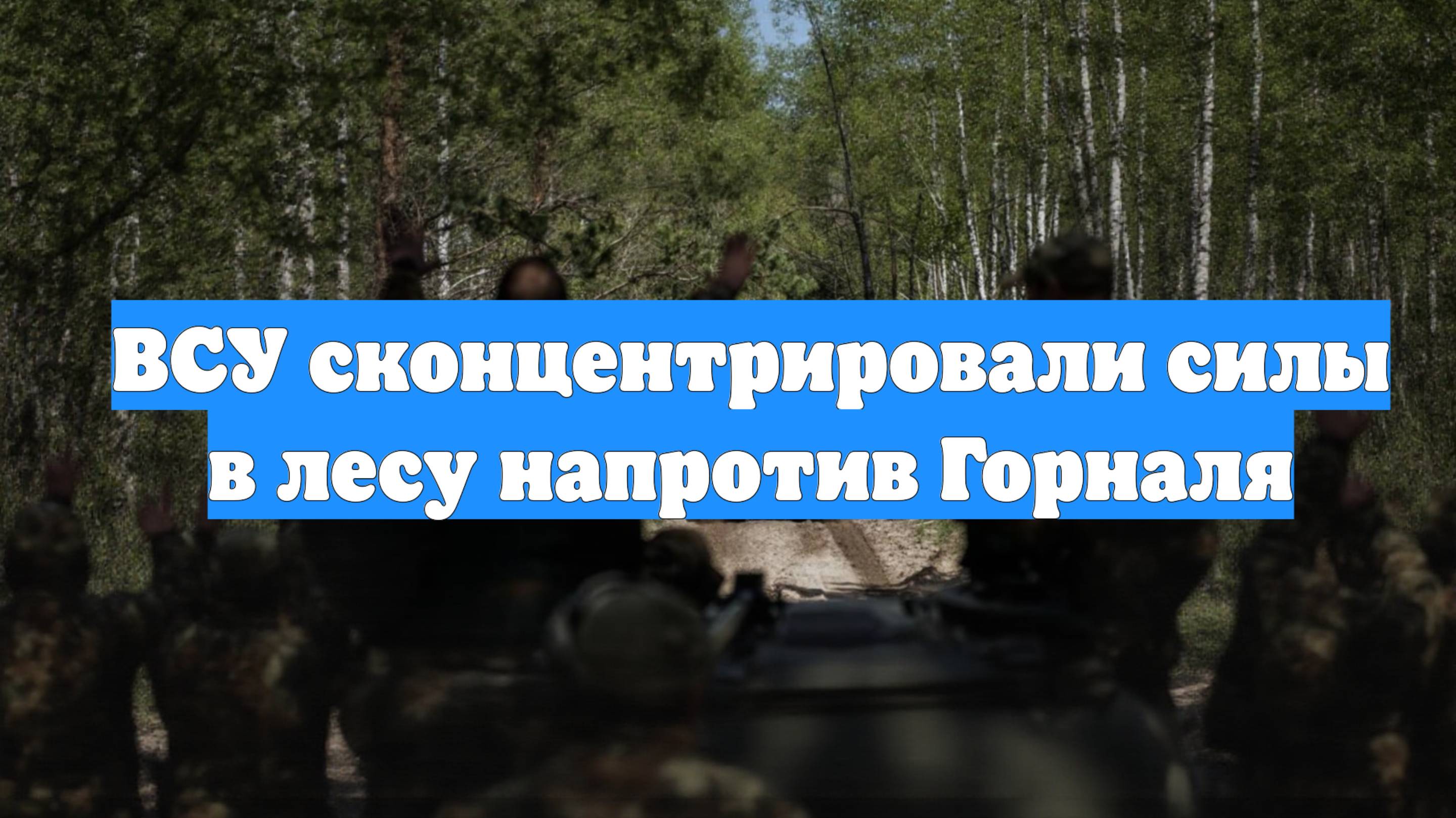 ВСУ сконцентрировали силы в лесу напротив Горналя