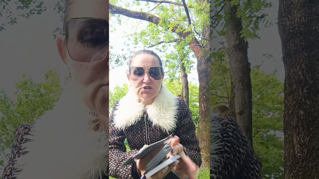 Как изменились его чувства к вам. Мои контакты 89052488276 вайбер, вацап, телеграмм пишите.