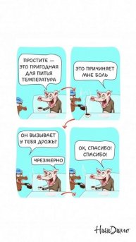 Как сохранить бодрость и энергию? — Начни правильно день!🐷☕️