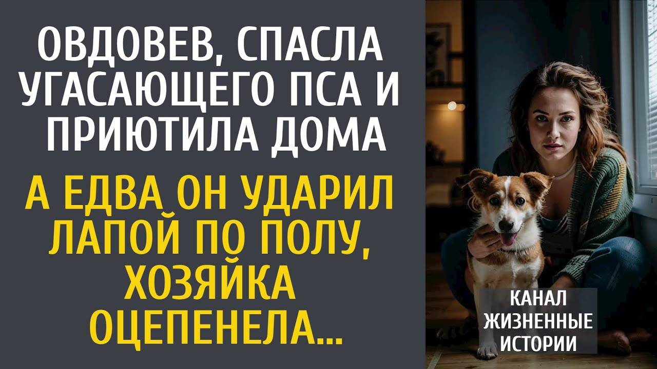 Овдовев, спасла угасающего пса и приютила дома… А едва он ударил лапой по полу…