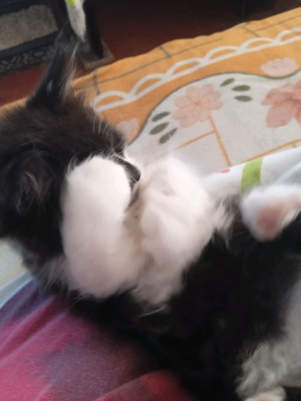 топ
н
