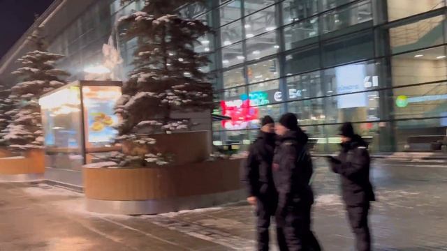 Прогулка от остановки Аэроэкспресс до Аэропорта Домо?