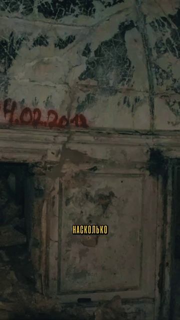 Искусственная пещера на Максимовой Дачи Локация: 44.561321, 33.547882 #подземелья #севастополь