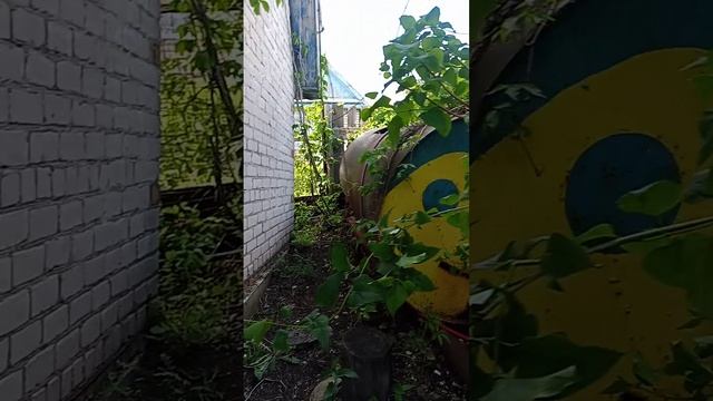 VID_20250523_124302.mp4