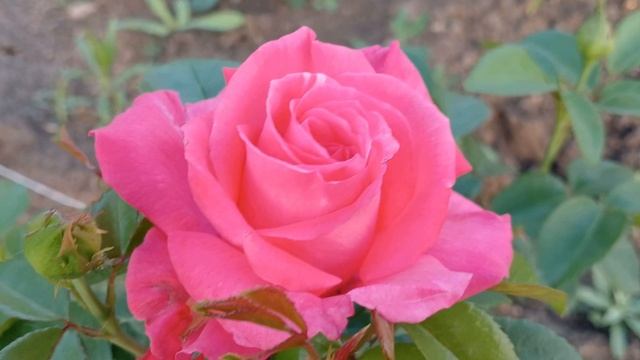 20240702_202253 (online-video-cutter.com)