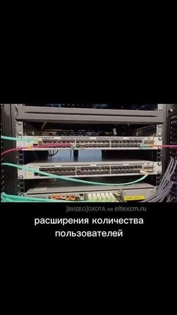 Коммутатор ЦОД MES5448 Eltex. Видео[Охота] на eltexcm.ru